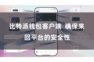 比特派钱包客户端  确保来回平台的安全性